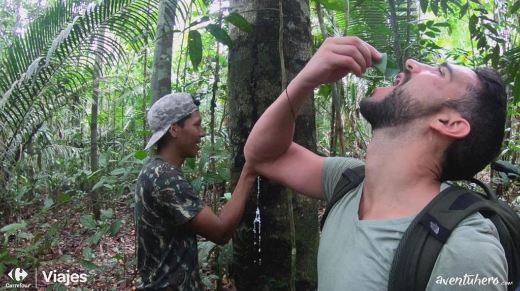 Jaguar Amazon Tours