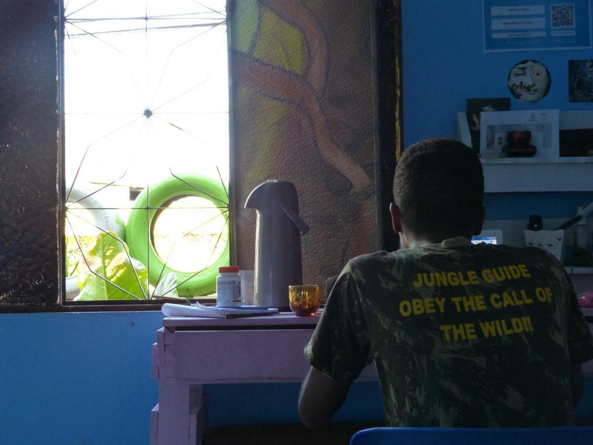 Jaguar Amazon Tours * Manaus