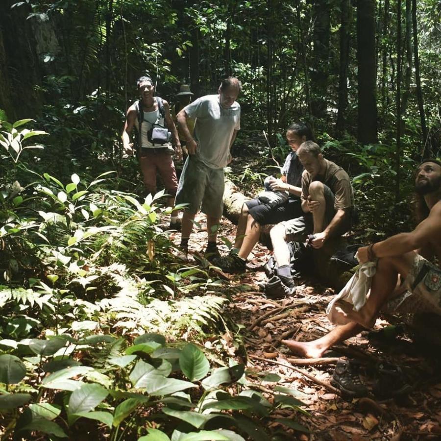 Frühstückspension Jaguar Amazon Tours Manaus